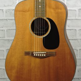 Eastman PCH-1D Front close