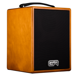 GR AUDIO WD ACOUSTIC 5 80 WATT ACOUSTIC AMPLIFIER WITH COVER