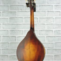Eastman MD305-A-WN-AB Back