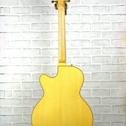 Epiphone Joe Pass 3428 full back