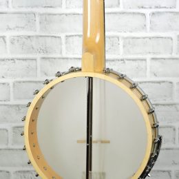 Gold Tone BT-1000 Close Back