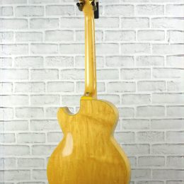 Ibanez GB-10 0508 full back