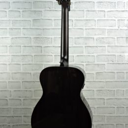 Yamaha TAS1E full back
