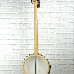 Gold Tone CC-100 Full back-1