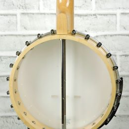 Gold Tone CC-100 close back-1