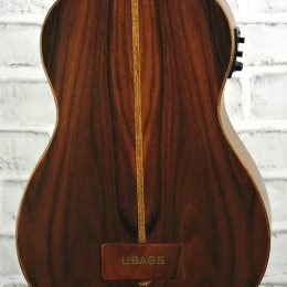 Kala UBASS 107 close back