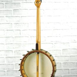 Wurlitzer tenor banjo full back