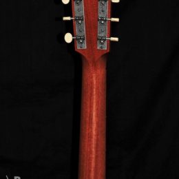 WATERLOO BY COLLINGS WL-12 MH MAHOGANY ACOUSTIC GUITAR WITH CASE